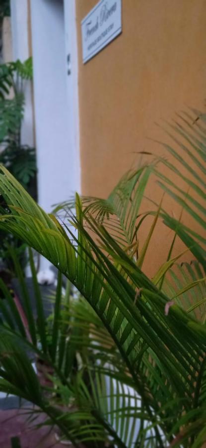 French Rivera Guest House Пондичерри Экстерьер фото